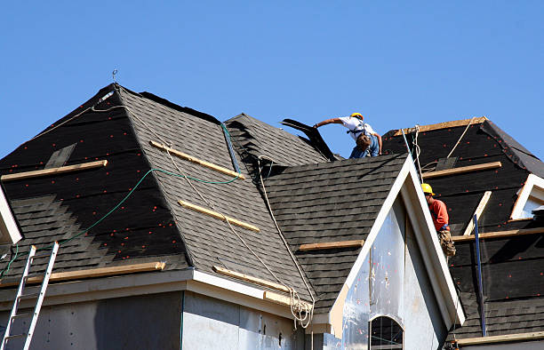 Best Roof Gutter Cleaning  in Beecher, MI