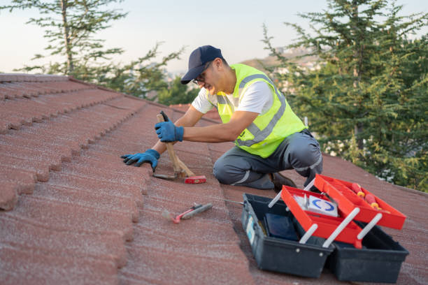 Best Best Roofing Contractors  in Beecher, MI