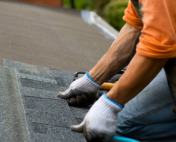 Trusted Beecher, MI Roofing Contractor Experts