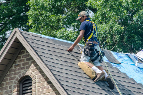 Best New Roof Installation  in Beecher, MI